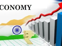 mp economic survey